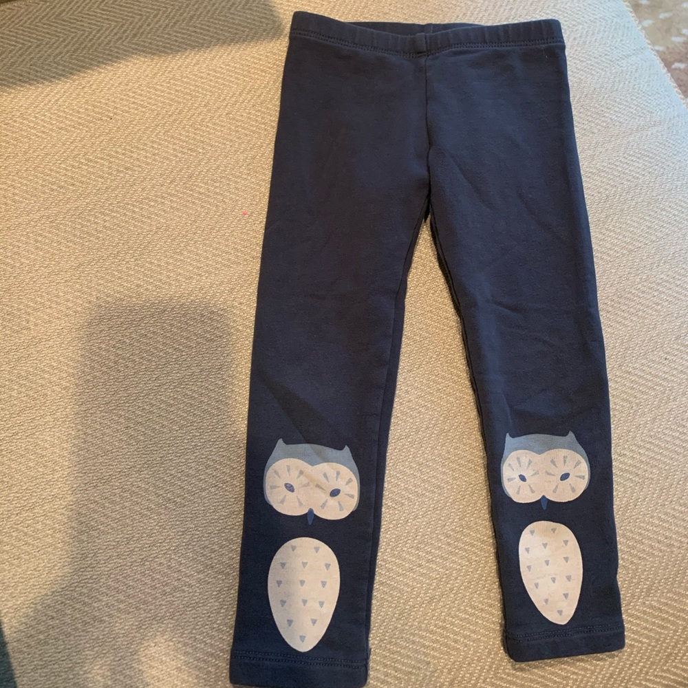 Tea leggings with owls.